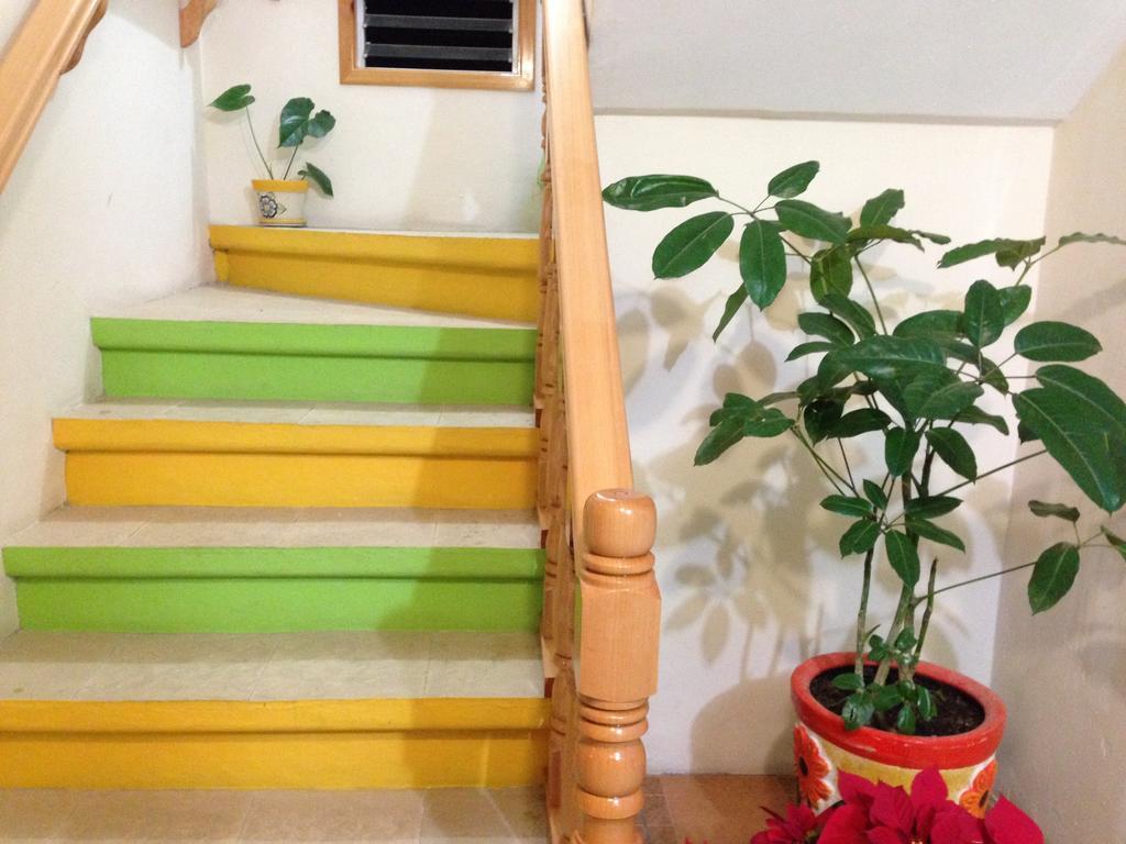 Hotel Posada Las Rosas San Cristobal de las Casas Ngoại thất bức ảnh